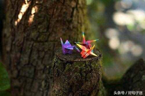 安意如經(jīng)典語錄，很唯美很走心，選句發(fā)朋友圈！