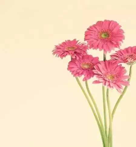 七首經(jīng)典至極的現(xiàn)代情詩，美醉了
