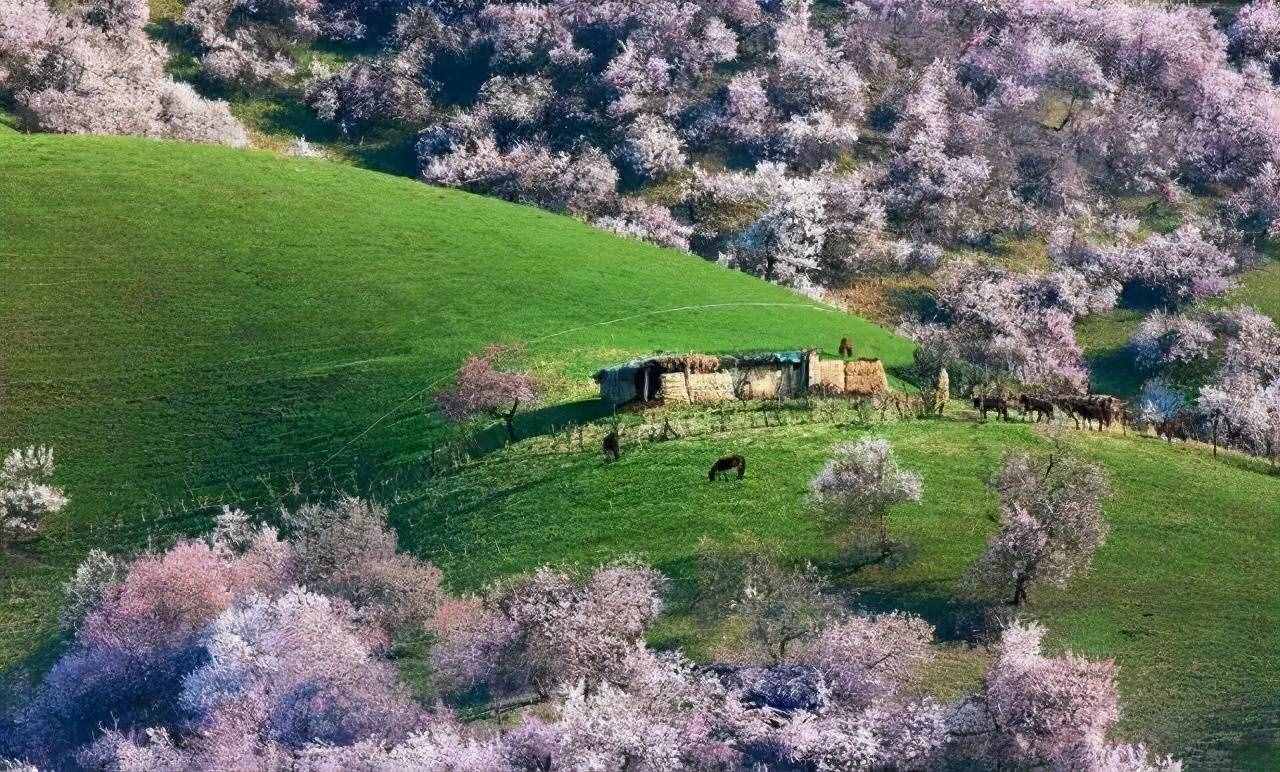 中國(guó)春季必去的八大美景，你都看過(guò)了嗎？