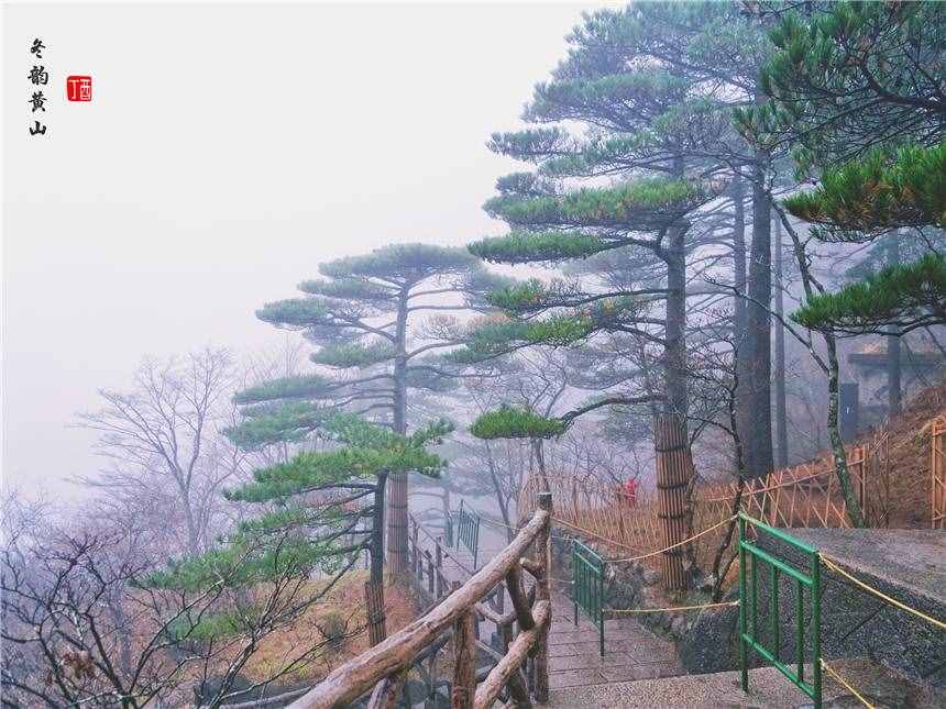 安徽最值得來的旅游景點，登黃山天下無山