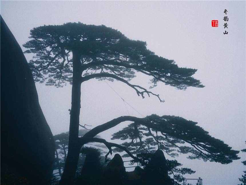安徽最值得來的旅游景點，登黃山天下無山