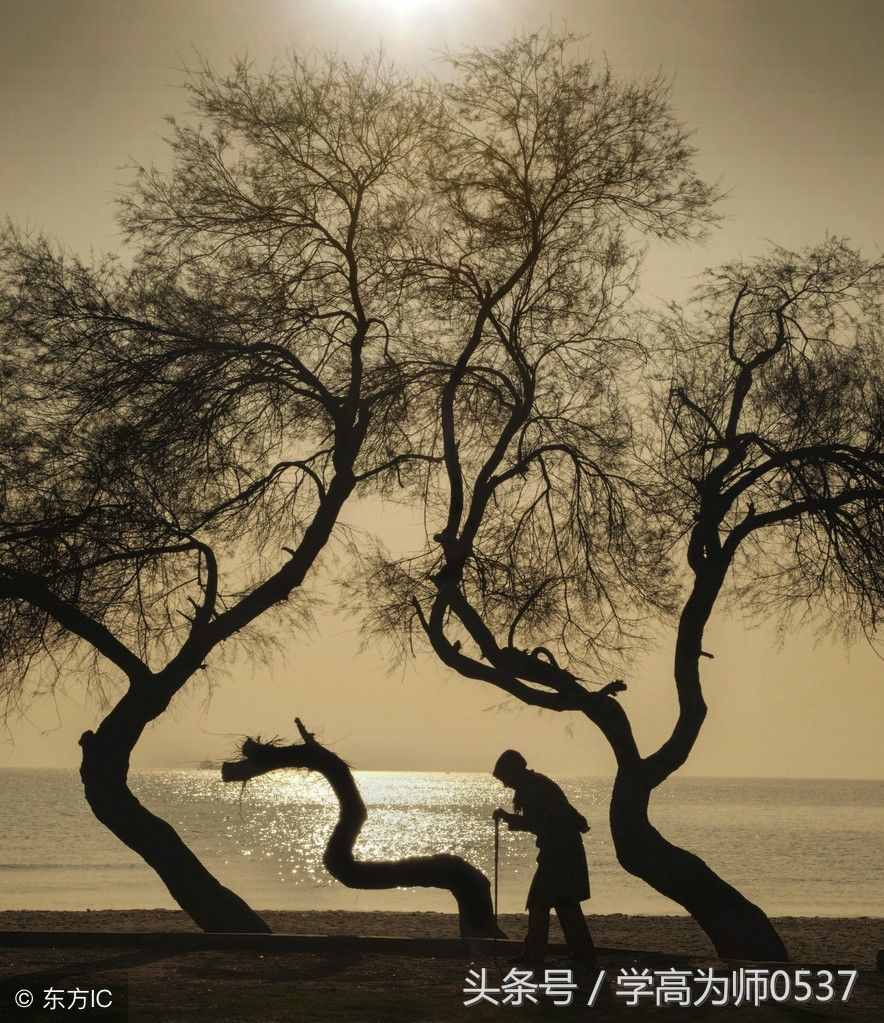 七句“德行”經(jīng)典名句，古人的境界超脫你的想象！