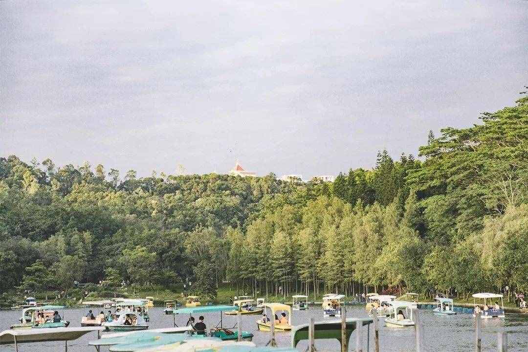 深圳這18個地方，一定要帶家人去玩一遍