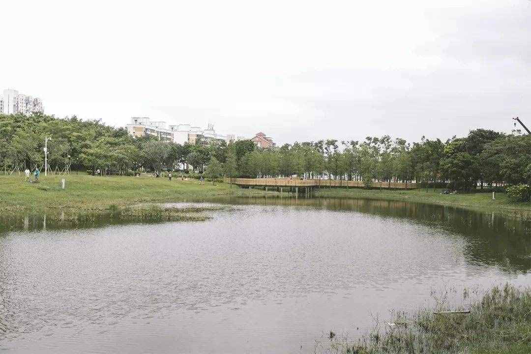 深圳這18個地方，一定要帶家人去玩一遍