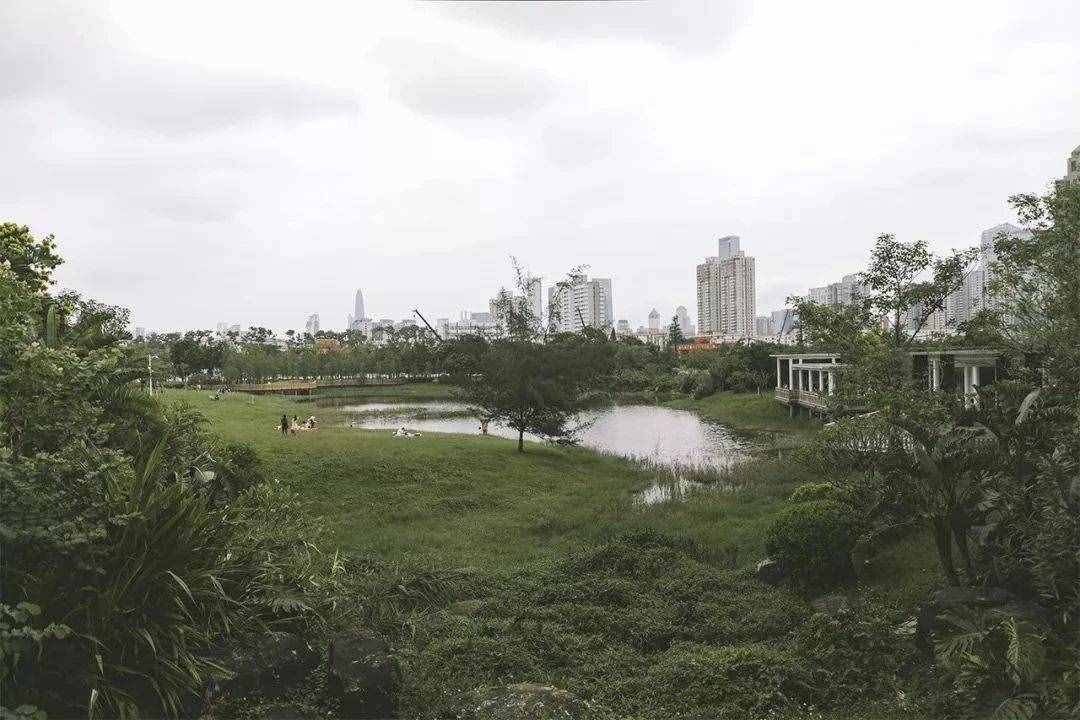 深圳這18個地方，一定要帶家人去玩一遍