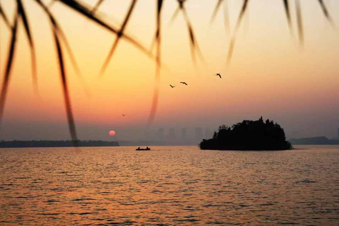 八首紅塵詩(shī)詞：有些人，走著走著就散了