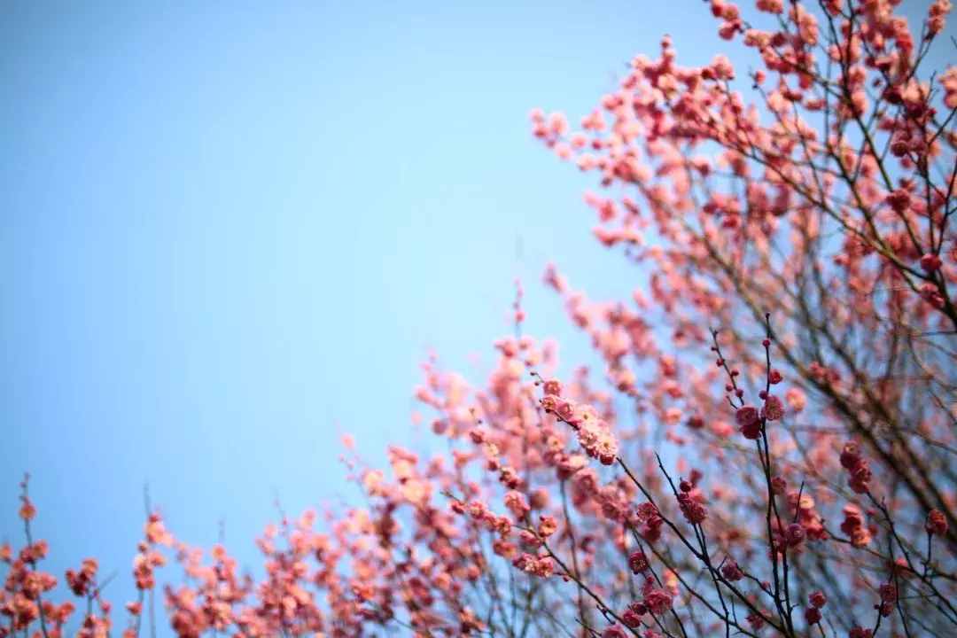 八首紅塵詩(shī)詞：有些人，走著走著就散了