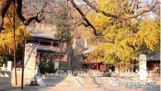 和孩子一起學文言文（30）——精衛(wèi)填海