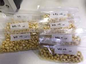 3分鐘就能喝到純黃豆自制的豆?jié){我是這樣做的的做法 步驟3