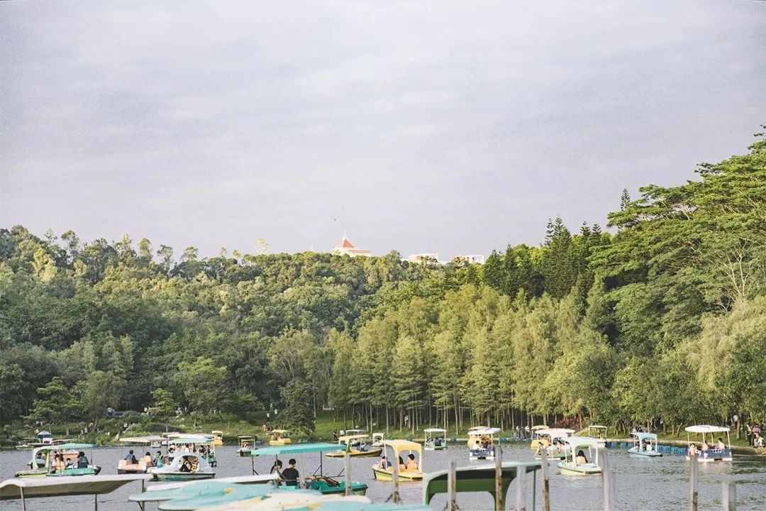 深圳這18個(gè)地方，一定要帶家人去玩一遍