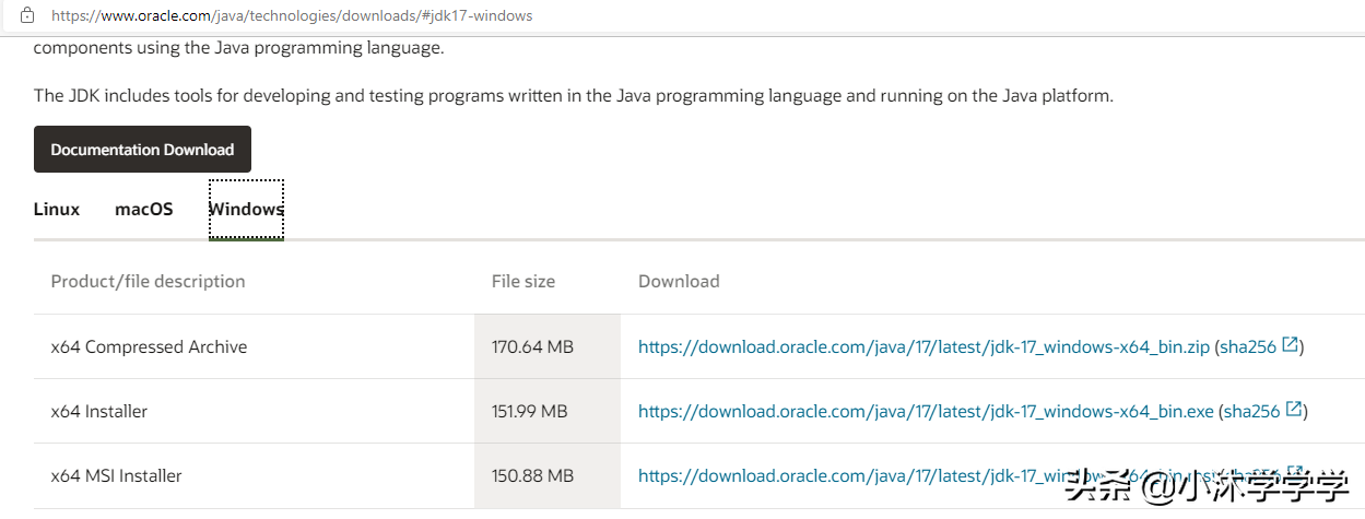 Java SE 17 JDK 的安裝