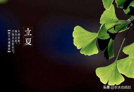今日立夏，為何立夏節(jié)氣要吃雞蛋？有什么好處？看完明白了