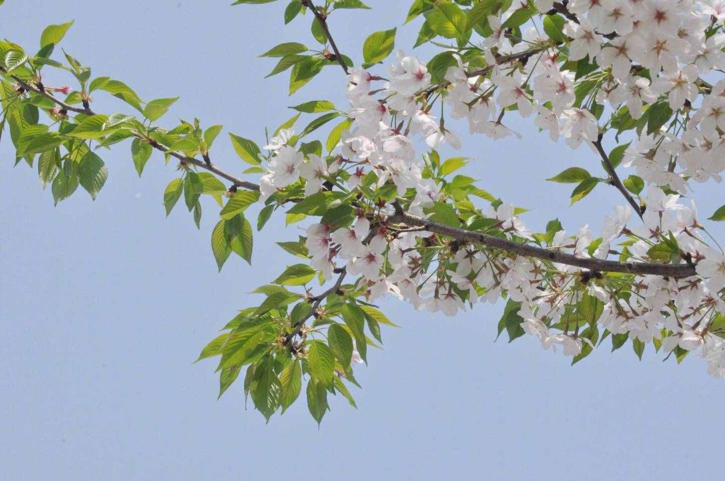 數(shù)學課堂的“預設與生成”，有著意想不到的“精彩”！