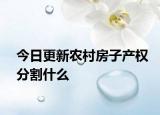 今日更新農(nóng)村房子產(chǎn)權(quán)分割什么