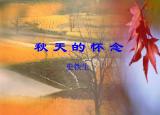 今日更新懷念母親教案（秋天的懷念優(yōu)秀教案一等獎(jiǎng)）