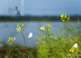 今日更新立夏為什么要吃蛋（為何立夏節(jié)氣要吃雞蛋）