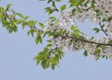 今日更新預(yù)設(shè)與生成（數(shù)學(xué)課堂的預(yù)設(shè)與生成）