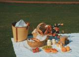 今日更新picnic是什么意思（picnic意思）