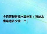 今日更新智能水表電池（智能水表電池多少錢一個(gè)）