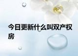 今日更新什么叫雙產(chǎn)權(quán)房