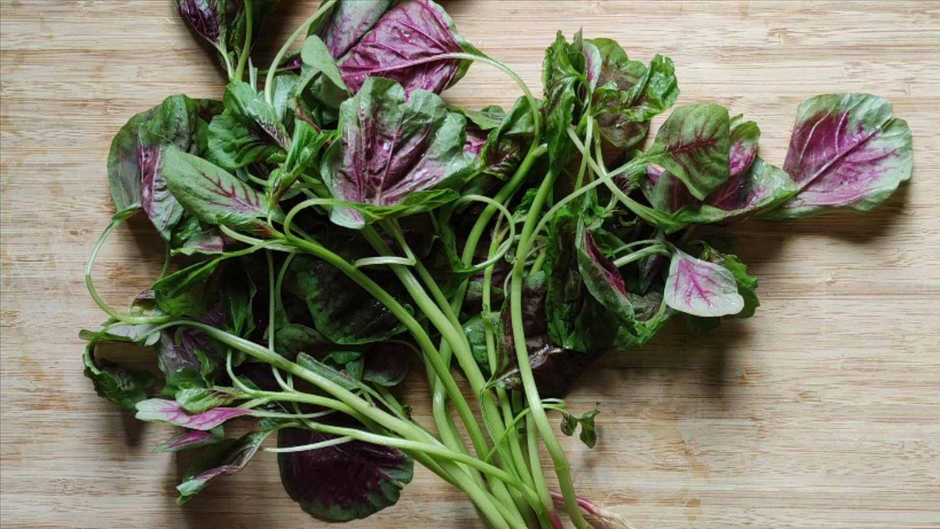10種夏季應(yīng)季綠色蔬菜，含鋅量媲美豬肉，還不打藥，天熱可以多吃