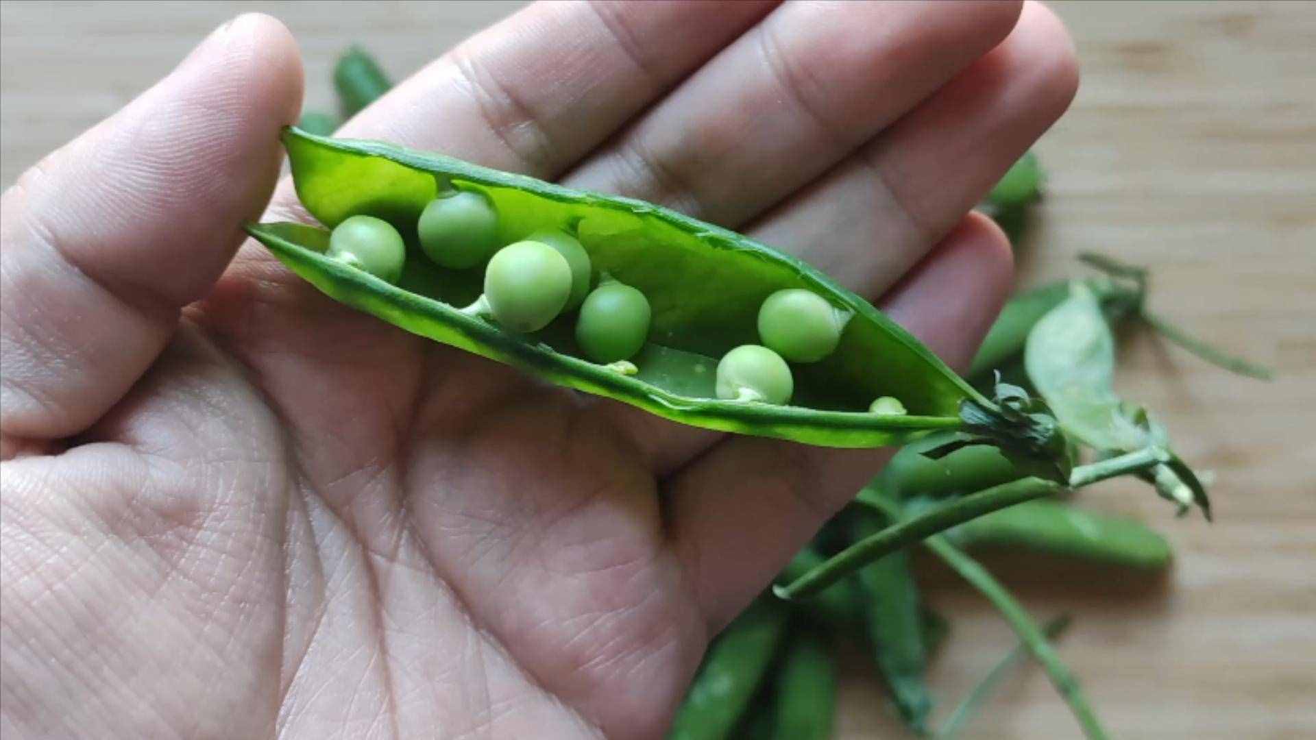 10種夏季應(yīng)季綠色蔬菜，含鋅量媲美豬肉，還不打藥，天熱可以多吃