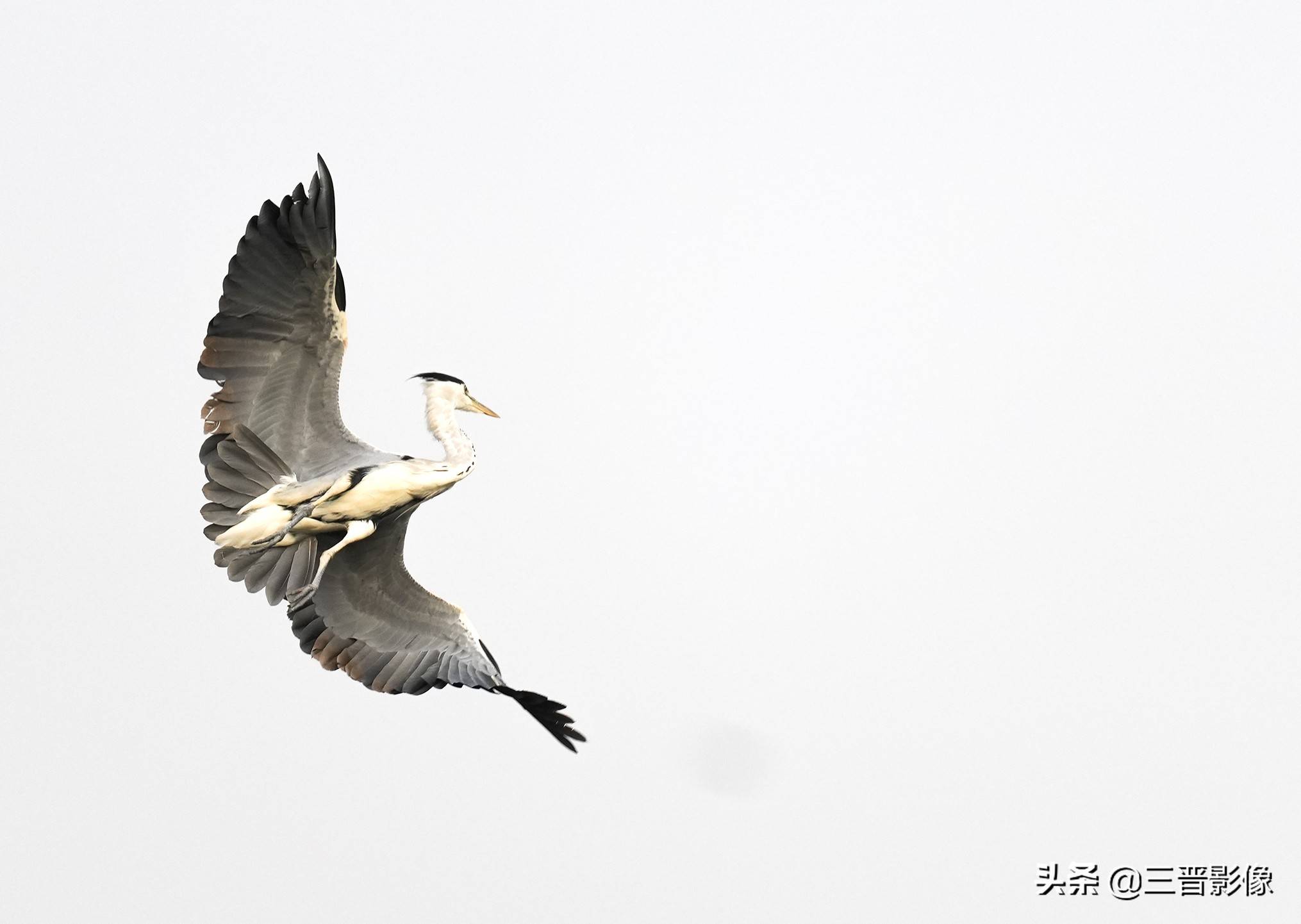 索尼A1相機(jī)體驗試拍結(jié)果:確實很強(qiáng)