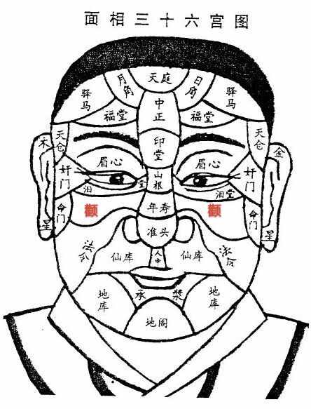 面相：顴骨看家族關(guān)系及婚姻子女