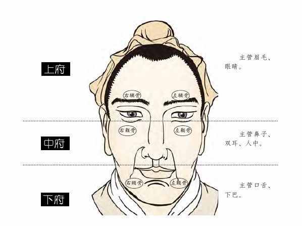 面相：顴骨看家族關(guān)系及婚姻子女