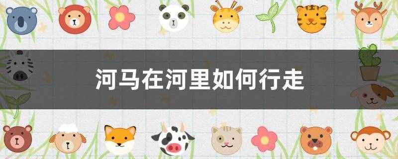 河馬在河里如何行走