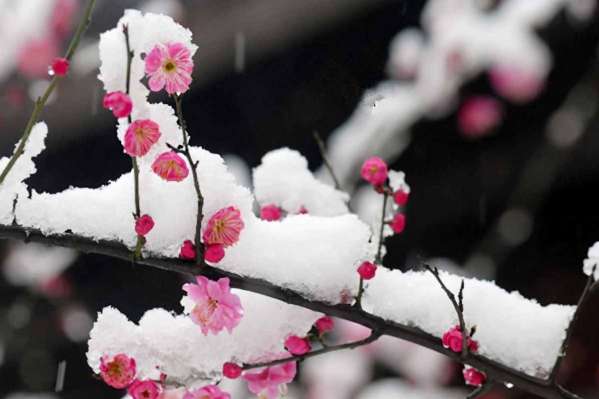 王安石罷相后心灰意冷，“洗稿”古樂府一首詩，結(jié)果成了千古名篇