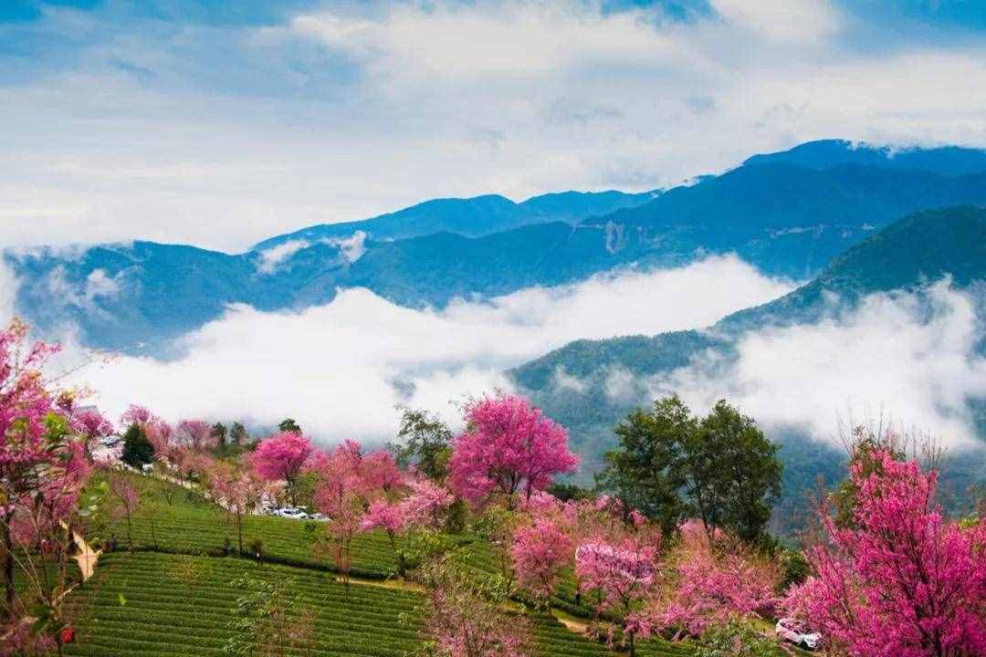 十二月最佳旅行地推薦，這12個地方顏值簡直要逆天了