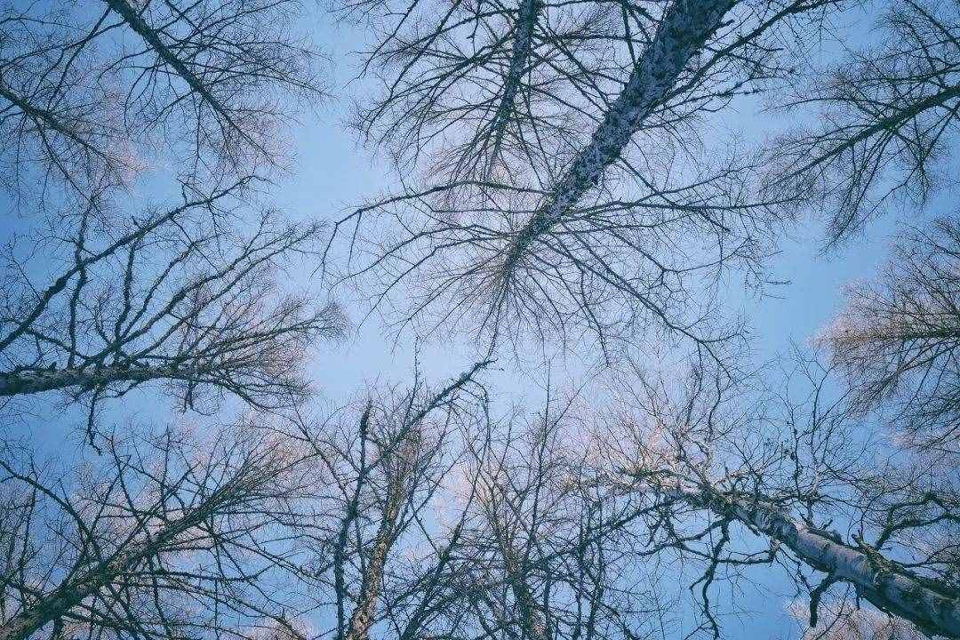 十二月最佳旅行地推薦，這12個地方顏值簡直要逆天了