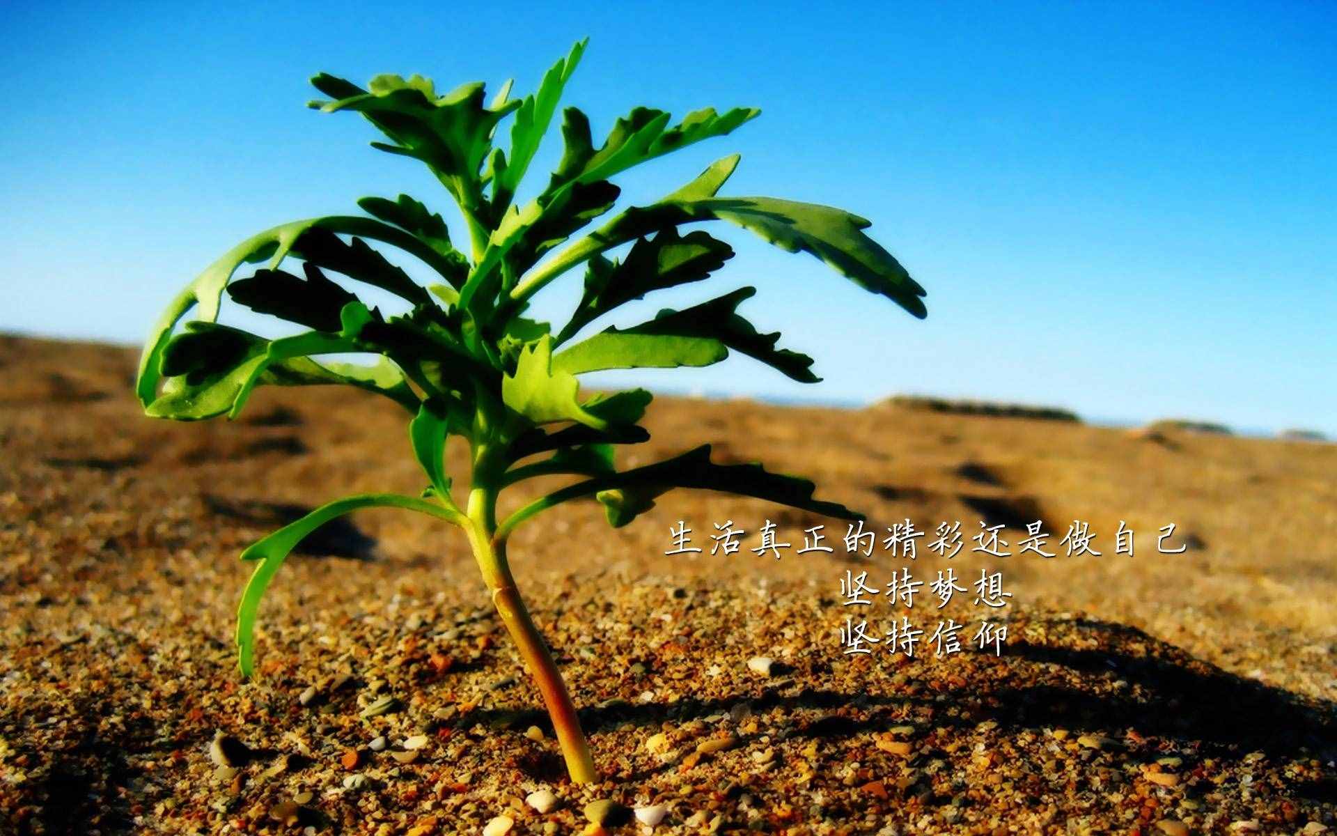 人到中年：生命奔流，笑對人生，每天前進(jìn)一點(diǎn)點(diǎn)