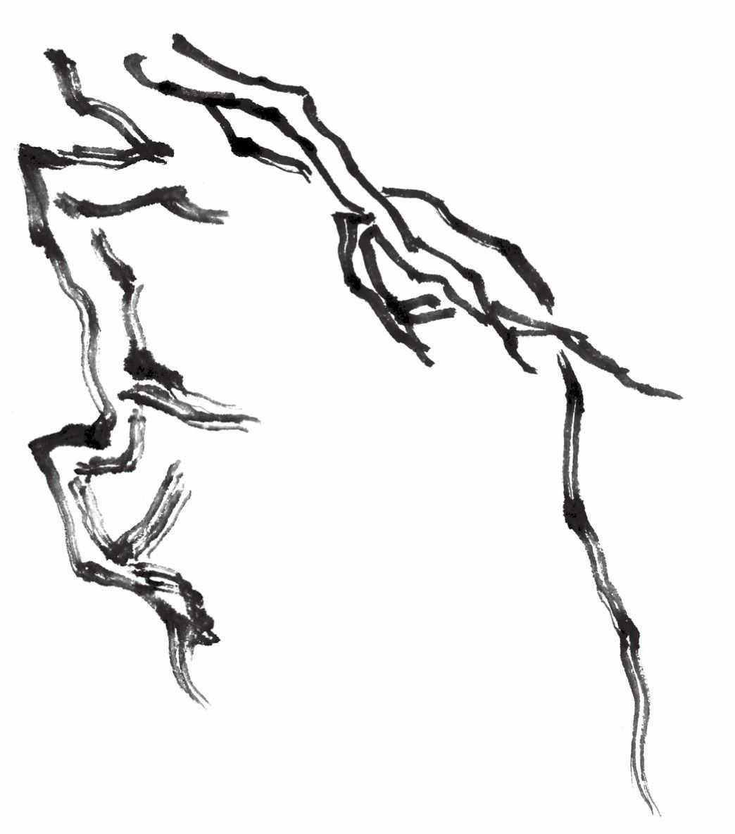 樹不會(huì)畫？什么是樹分五枝？分步驟圖解教你畫，學(xué)會(huì)畫樹很簡單