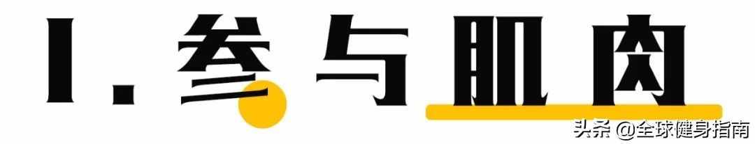 經(jīng)典動作講解-深蹲