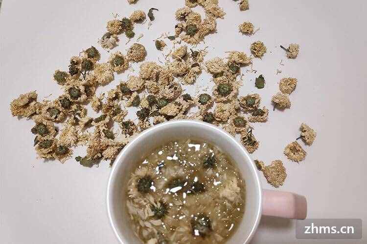 貢菊和杭白菊的區(qū)別