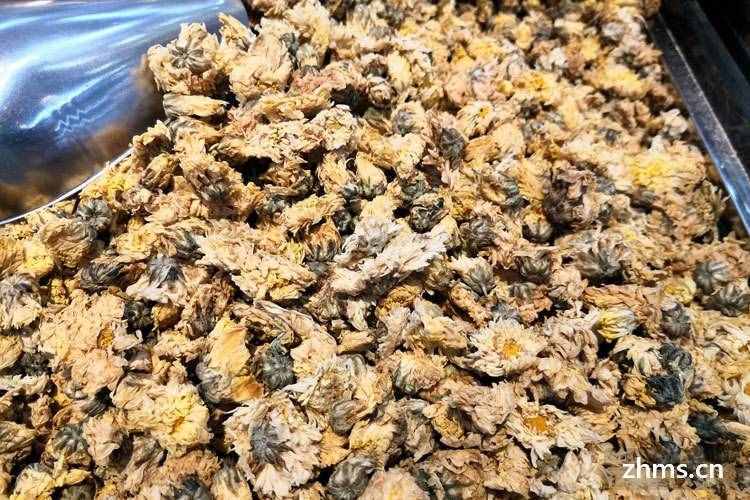 貢菊和杭白菊的區(qū)別有哪些？產(chǎn)地不一樣、加工方式也不一樣