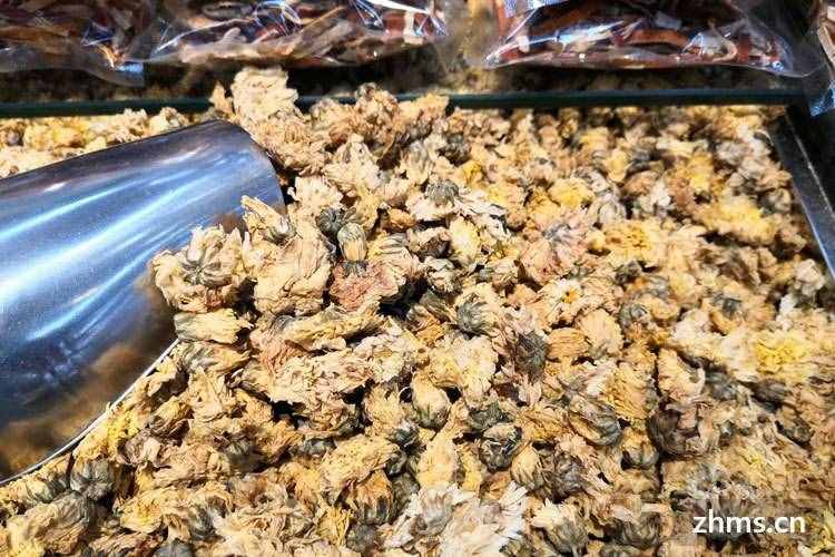 貢菊和杭白菊的區(qū)別