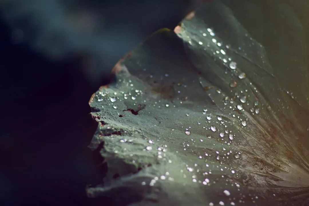 三伏天到了！吃一肉、喝二飲、食三瓜…照著這樣養(yǎng)，舒服一整夏