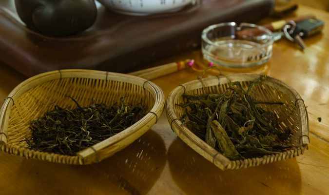 尋訪：“茶黃金”—中國十大名茶之一，普洱冰島大片古樹茶產(chǎn)地