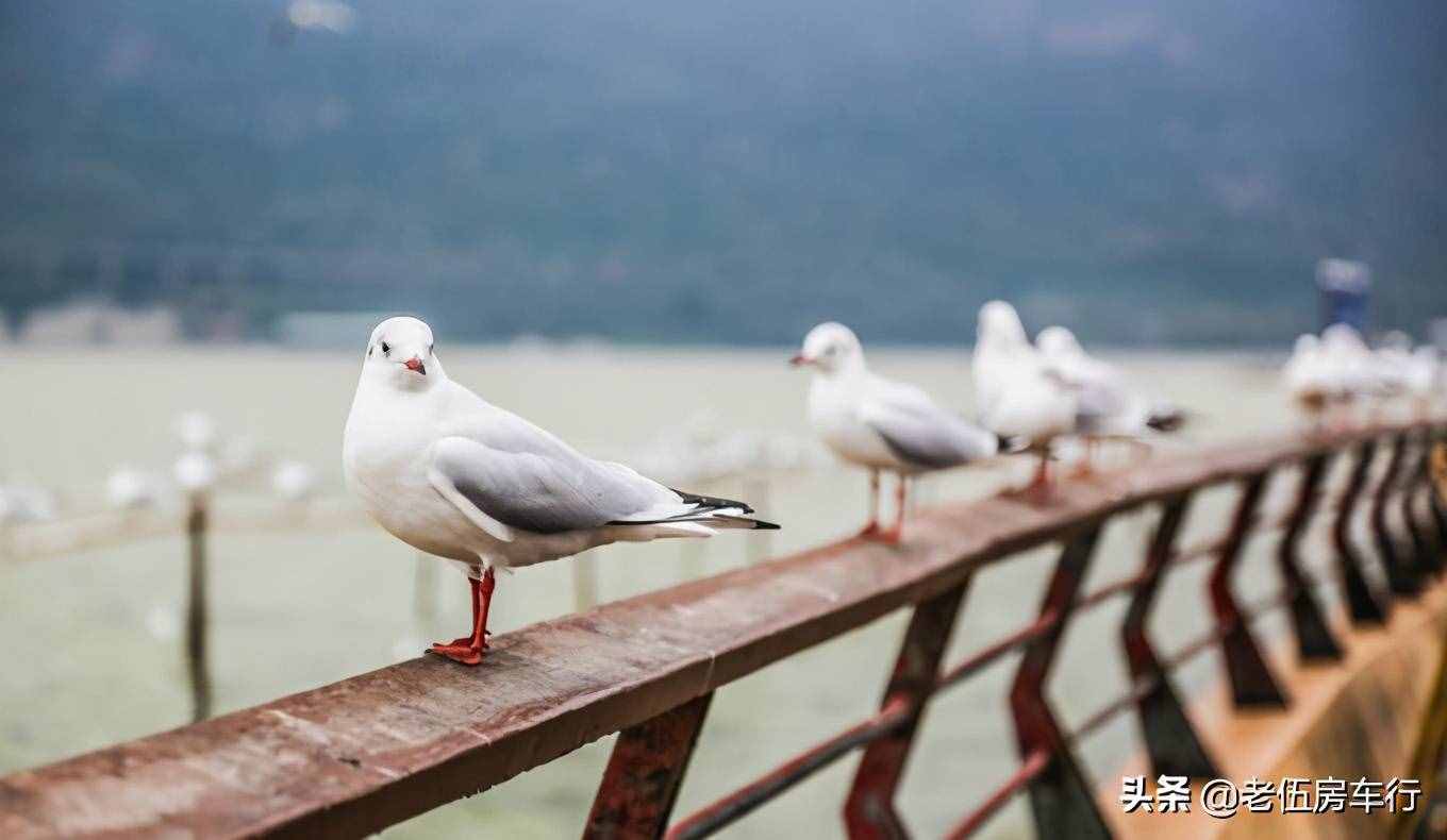 昆明三天自助游攻略，昆明自由行三天自由行攻略