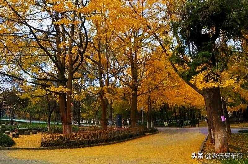 昆明三天自助游攻略，昆明自由行三天自由行攻略