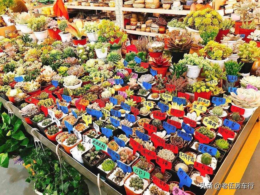 昆明三天自助游攻略，昆明自由行三天自由行攻略