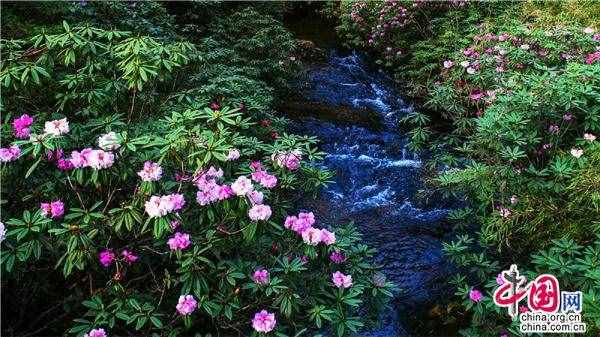 2021“花開天府 安逸四川”賞春、約會(huì)春天