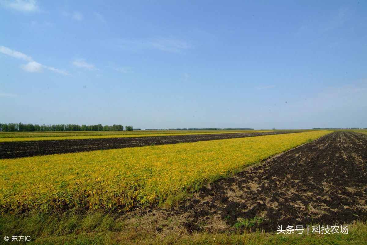 我國的“北大荒”到底指的是哪里你知道嗎？