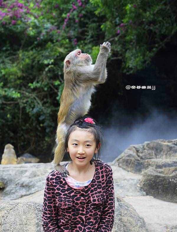 三亞 猴趣橫生的南灣猴島