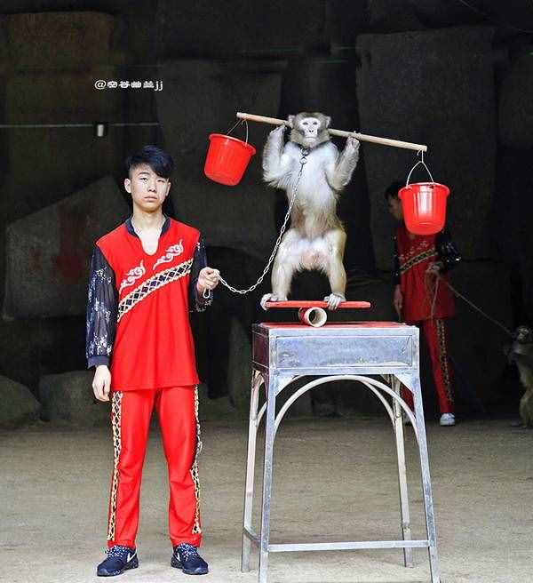 三亞 猴趣橫生的南灣猴島