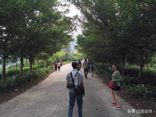 廣東觀音山，感受山水禪意的熏陶洗禮