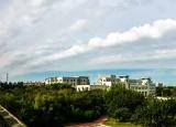 今日更新沈陽化工大學(xué)分?jǐn)?shù)線（沈陽化工大學(xué)2020年錄取分?jǐn)?shù)線）